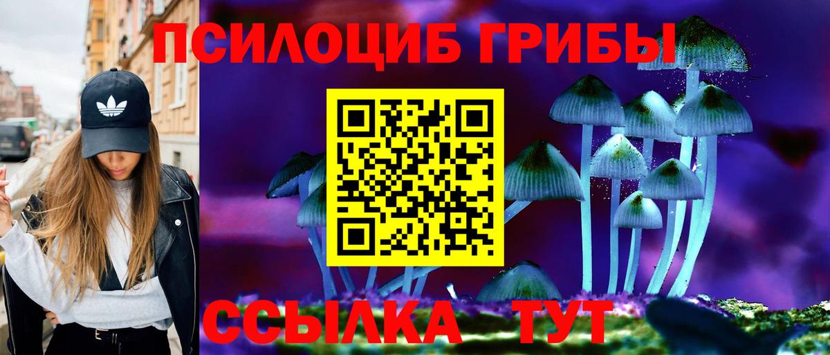 Туапсе  Псилоцибиновые грибы Cubensis  Вход с VPN 